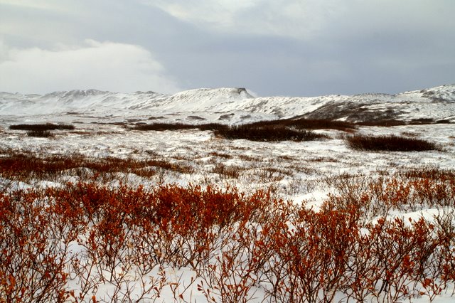 Vetur  Bjarkalundi