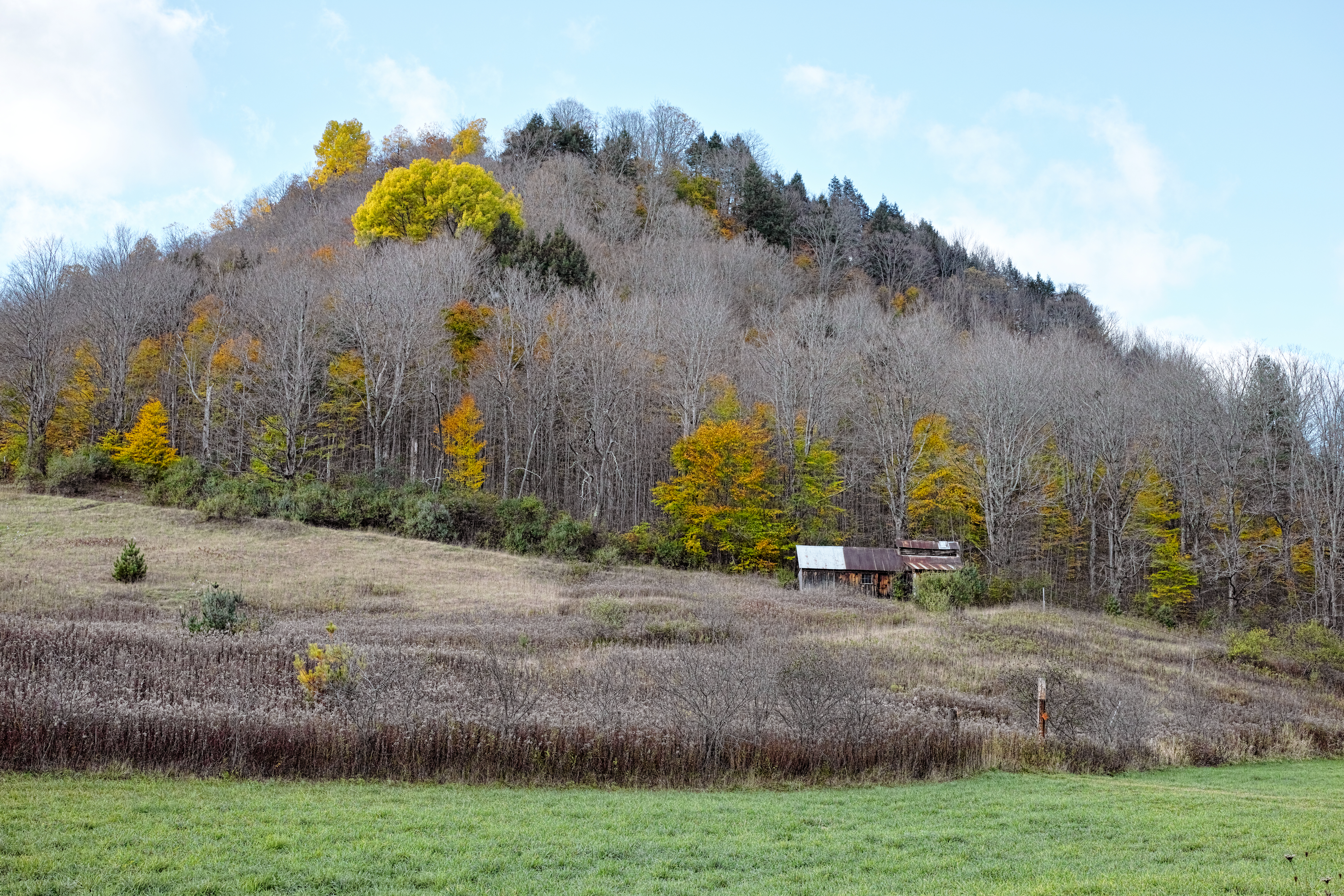 3 Colors ghosting along the hill