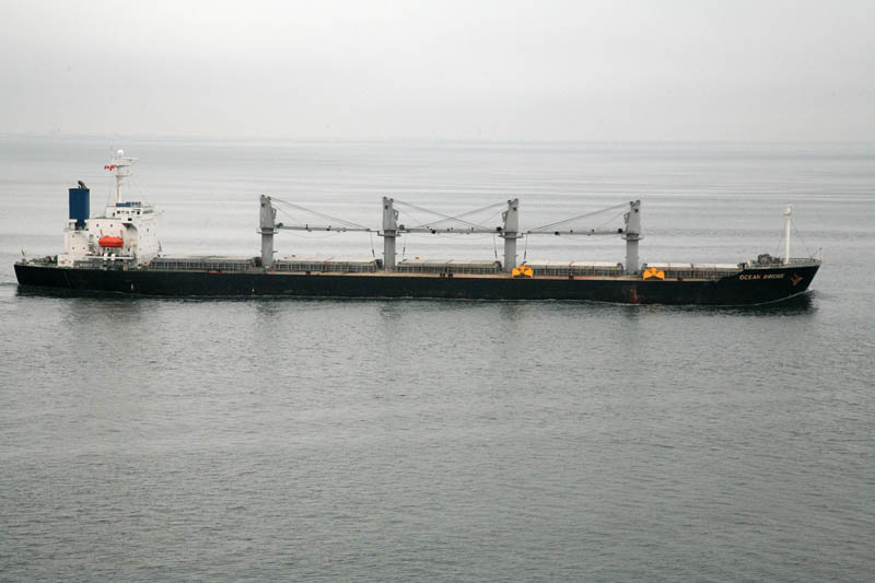 Bulk Carrier