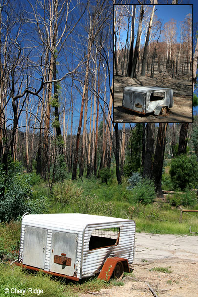 0032- (Barreges Pyreneans) after the fires and now