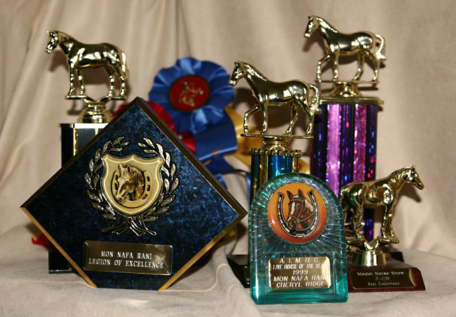 some of Mon Nafa Ranis awards won over the years