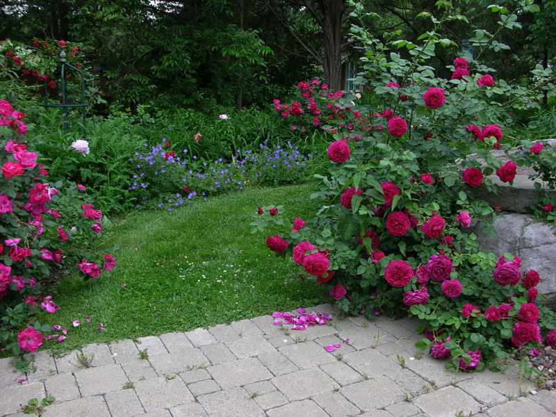 Garden Path