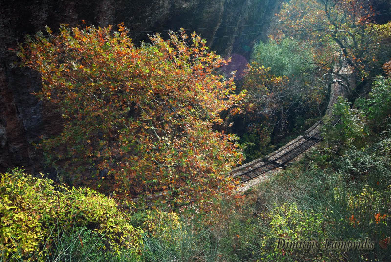 vouraikos  gorge  ...