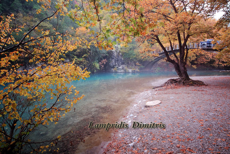VOIDHOMATIS  RIVER  ...