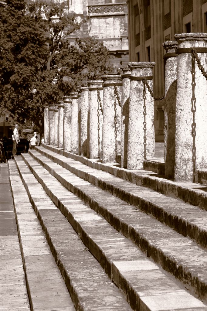 Steps of the Cathedral