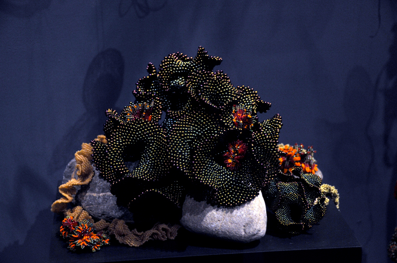 Hyperbolic Crocheted Coral Reef at the Smithsonian Natural History Museum