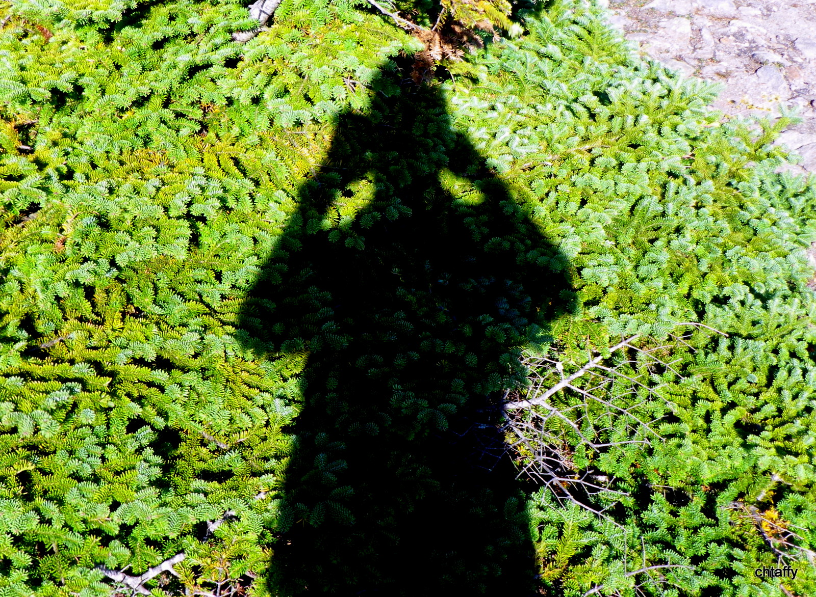 Shadow hiking