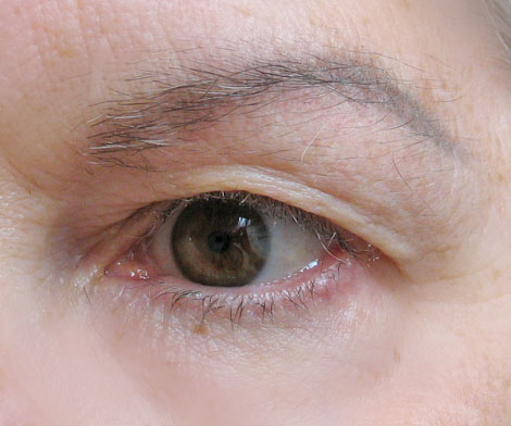 Layout Pencil for Brows