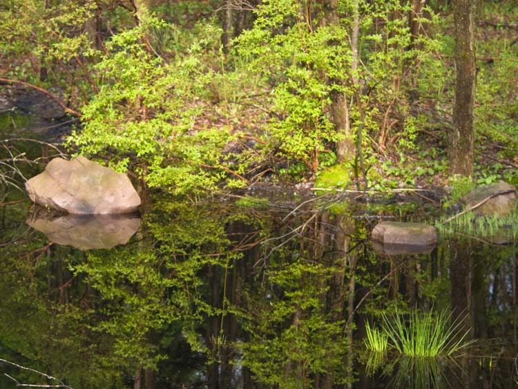 water2.jpg