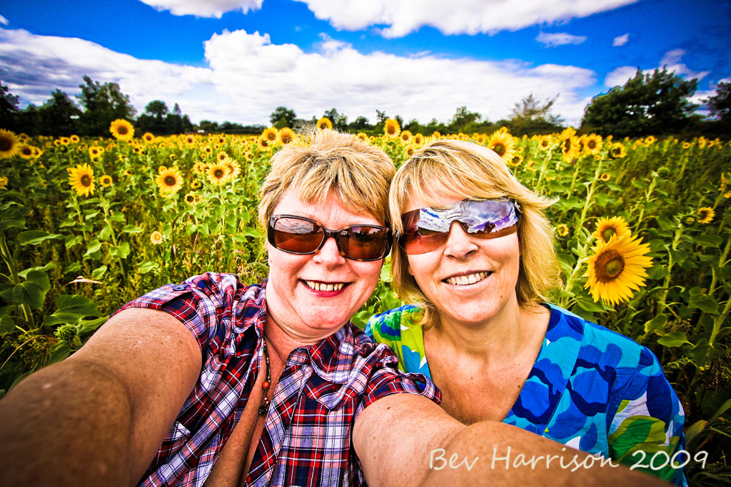 we found a sunflower.....