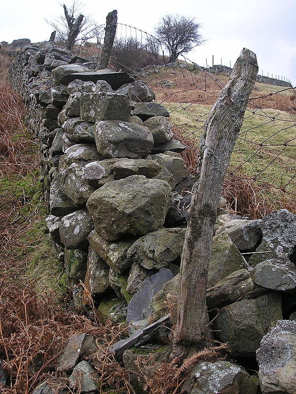 Fence and Wall.JPG