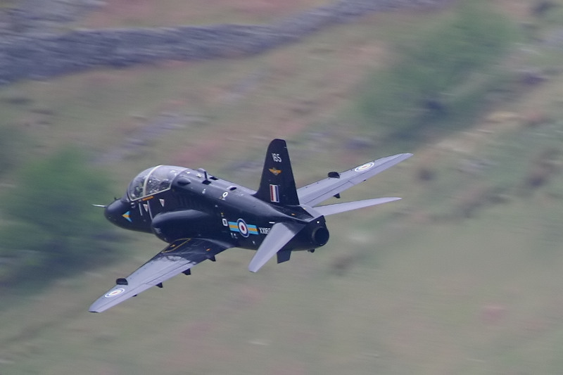 Hawk 4_filtered.jpg