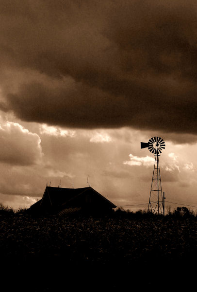Sepia Challenge for November 5th.