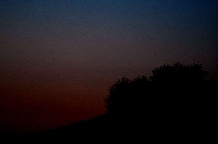 032011_0823.jpg