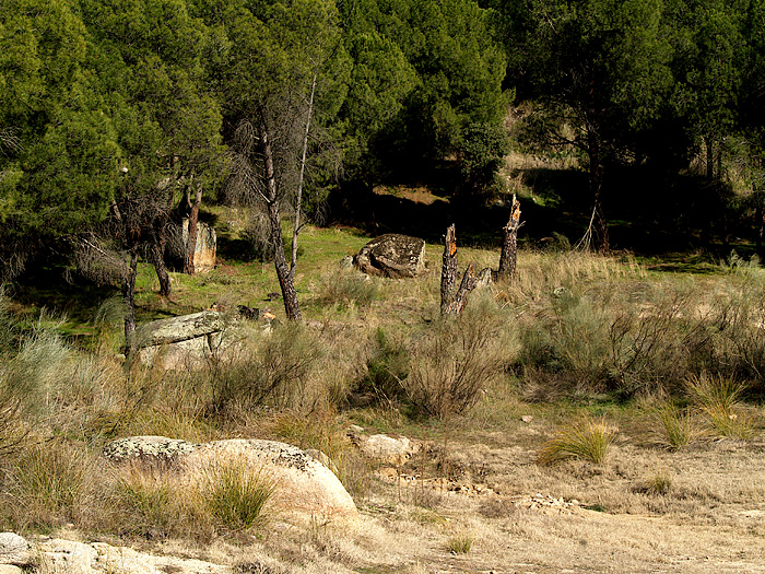 Pantano de San Juan, Madrid