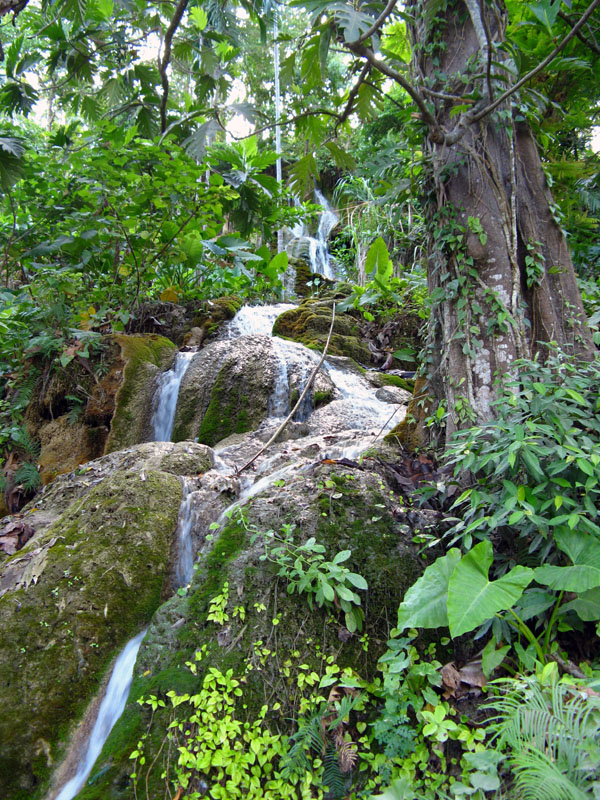 Loihuna spring