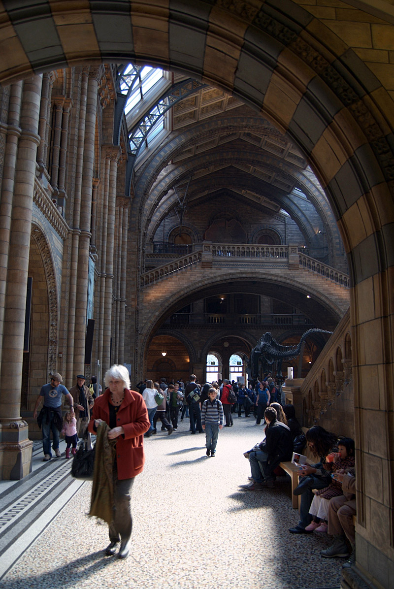 Natural History Museum, London; Interior