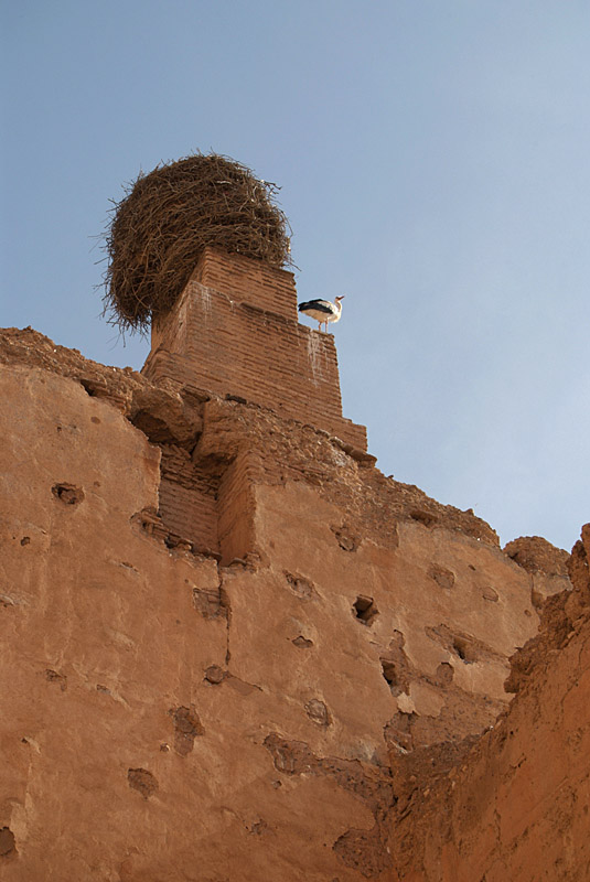 Storks Nest