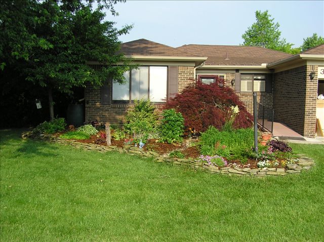 My little stream starts under the maroon Japanese Maple and ends on the lawn.