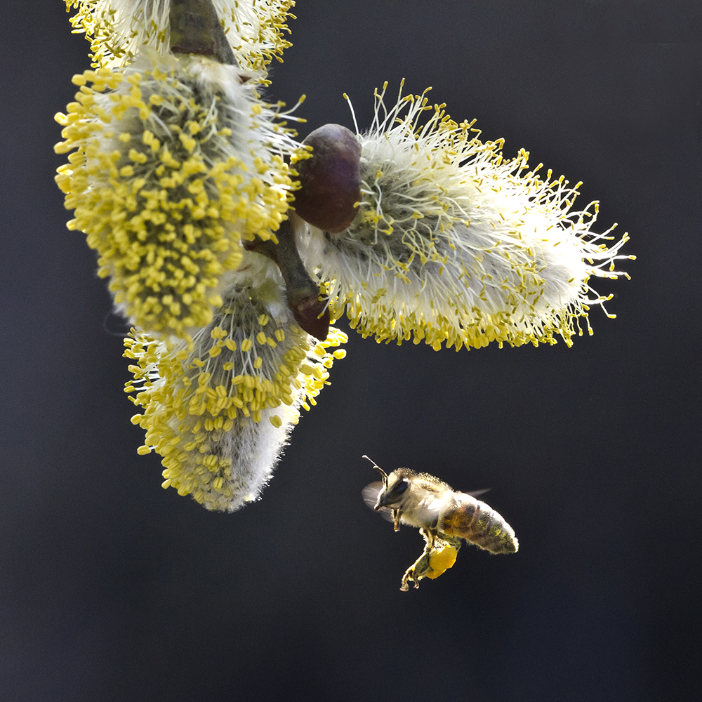 cleared for landing