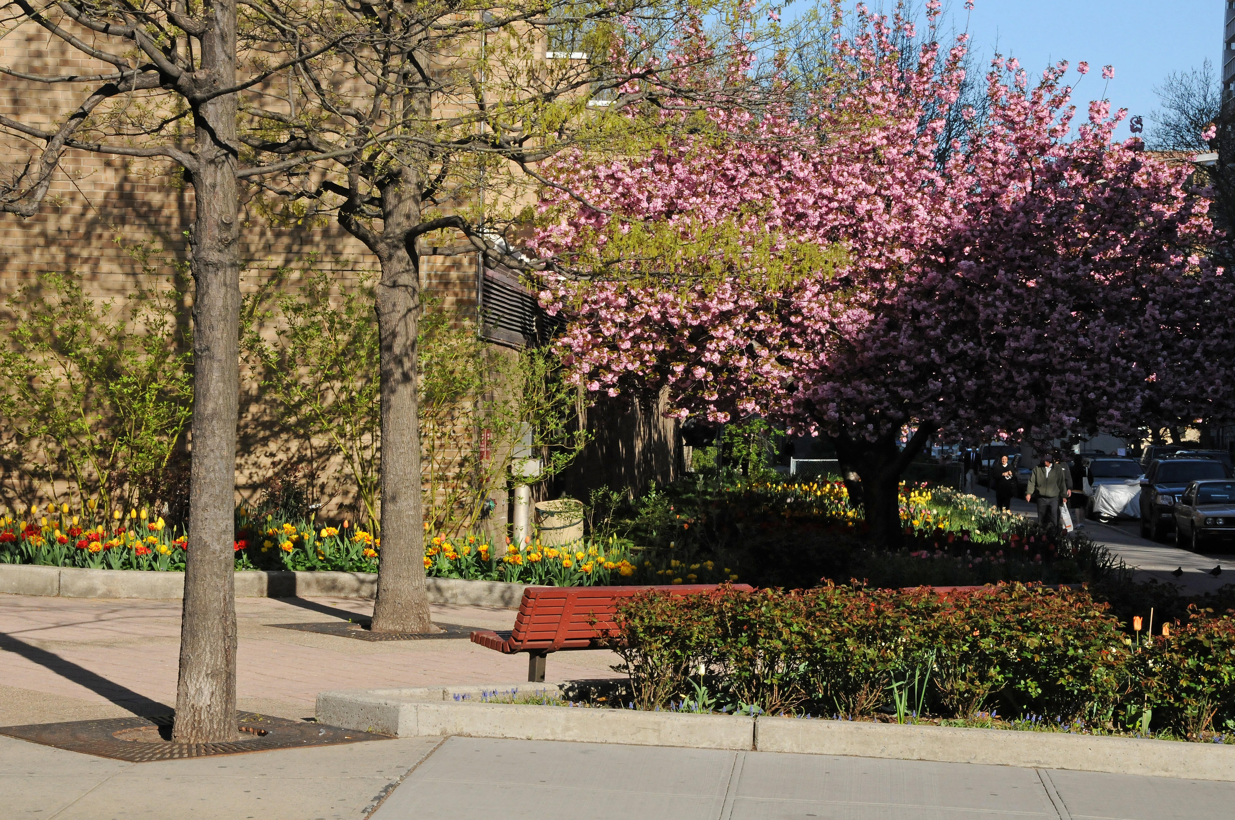 NYU Athletic Center Gardens