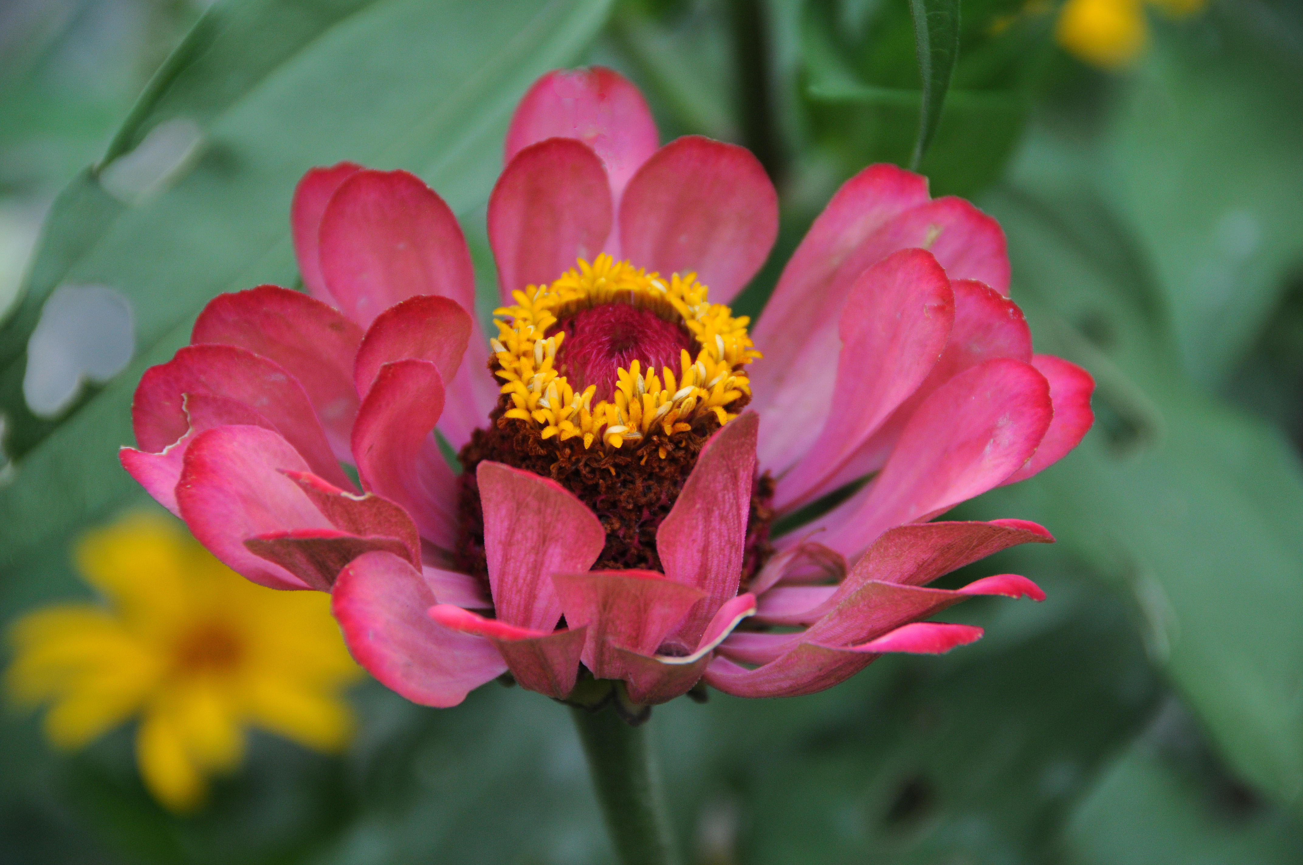 DSC_4366.JPG
