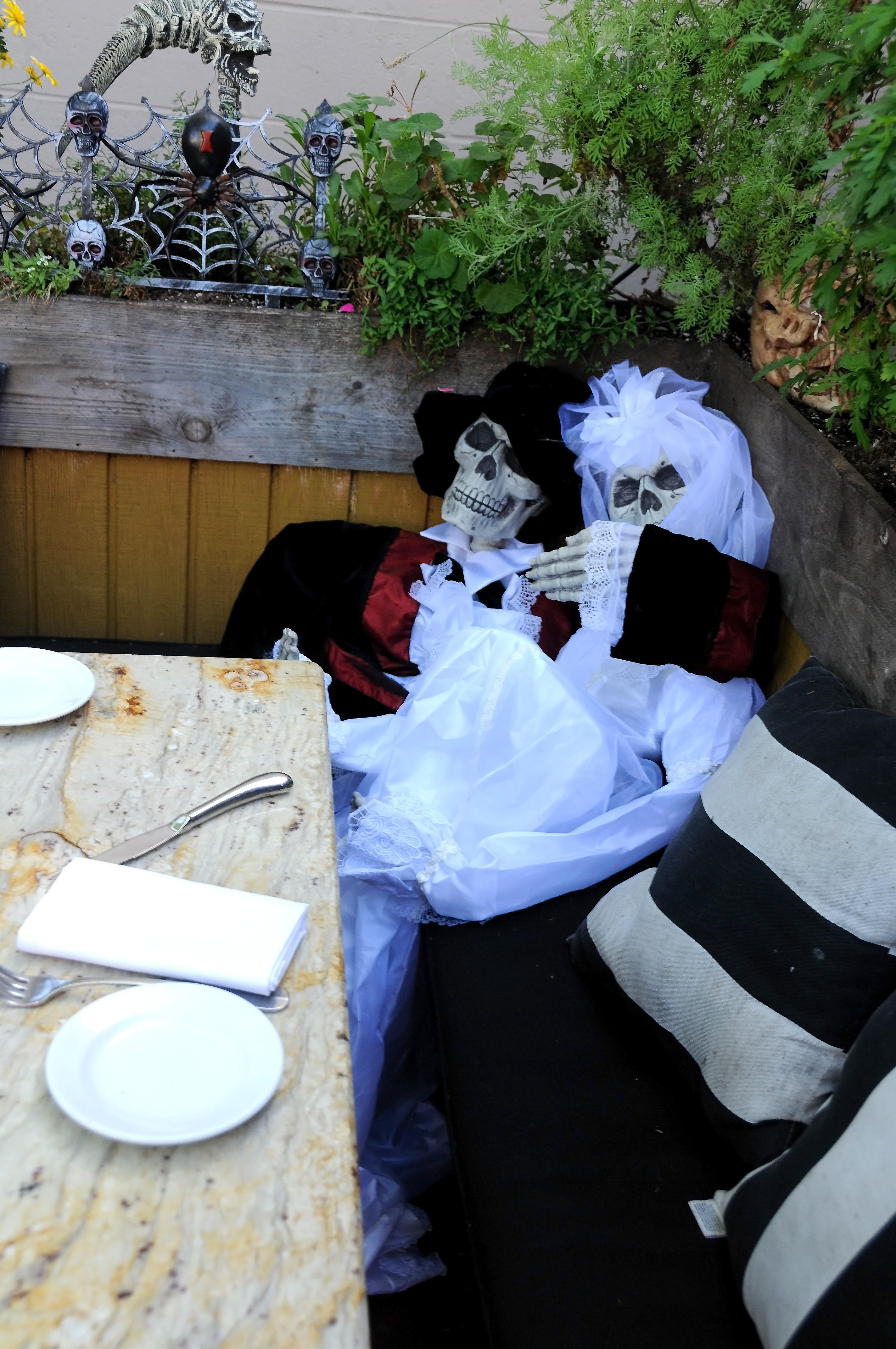 Barbarellas Restaurant