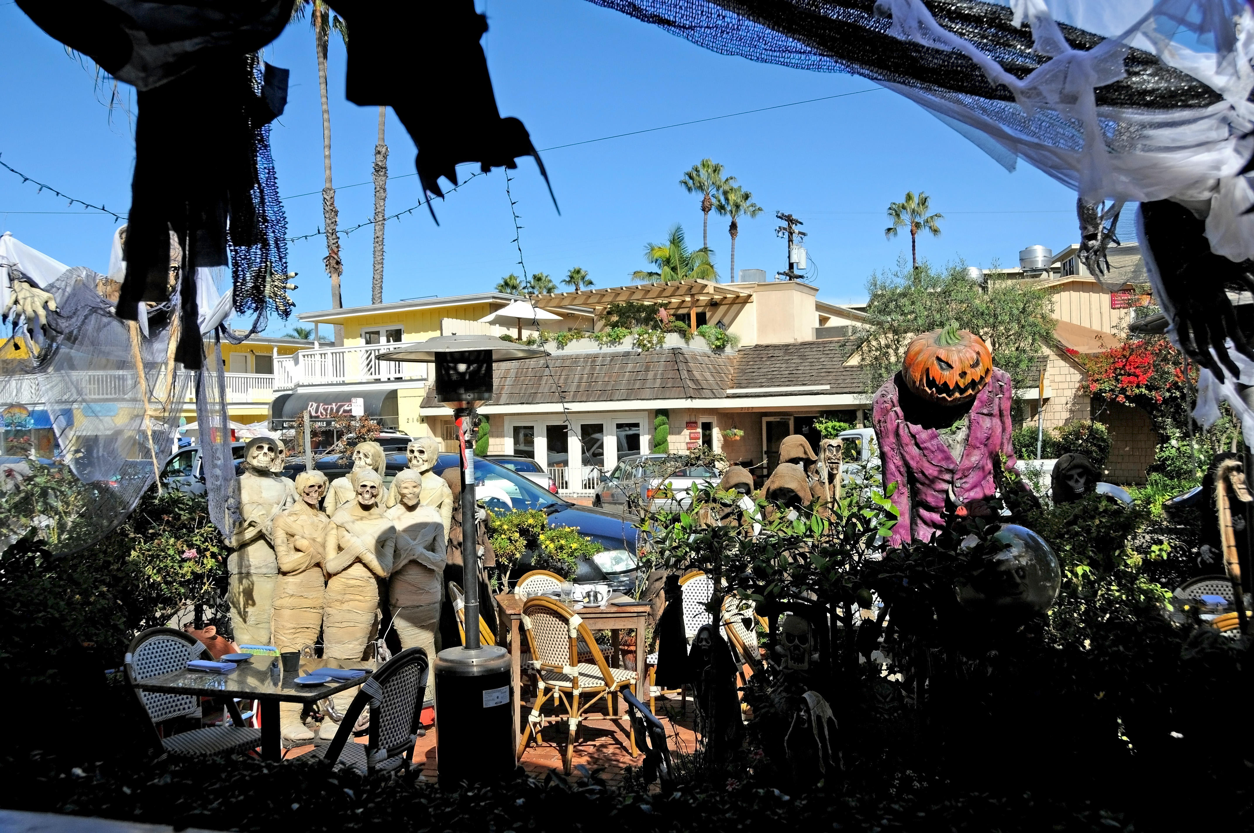 Barbarellas Restaurant