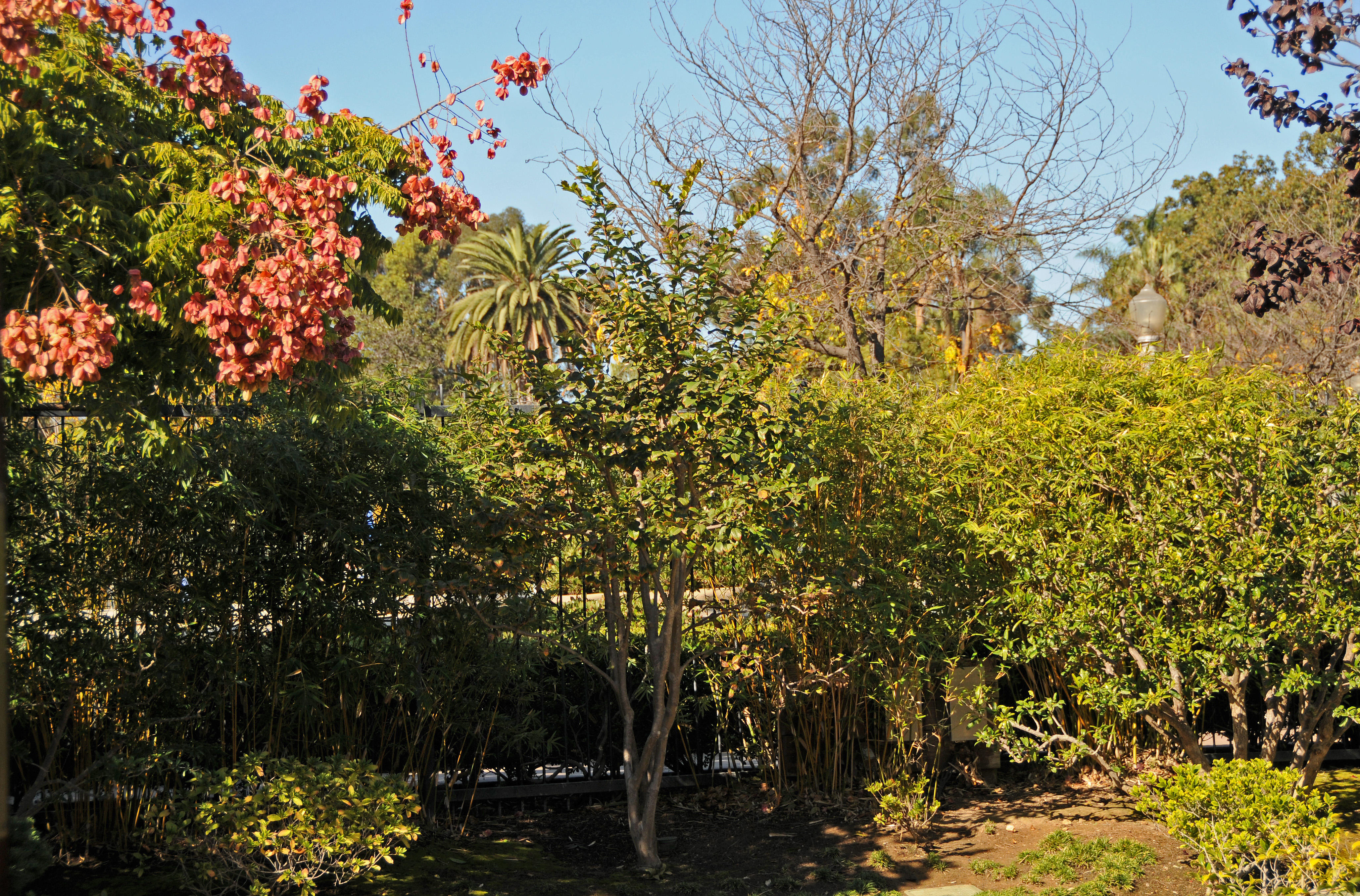 Balboa Park