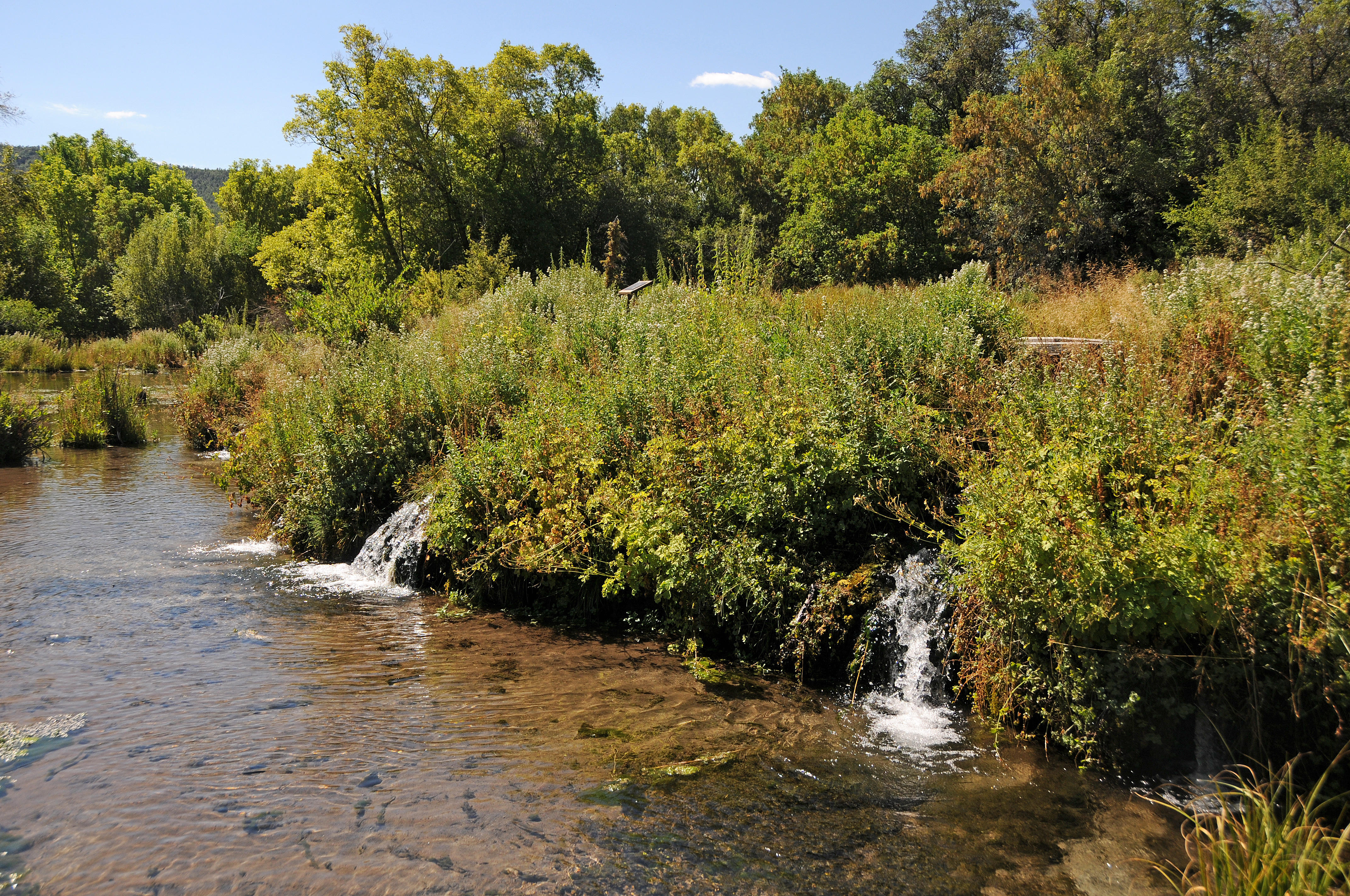 Cascade Springs Area