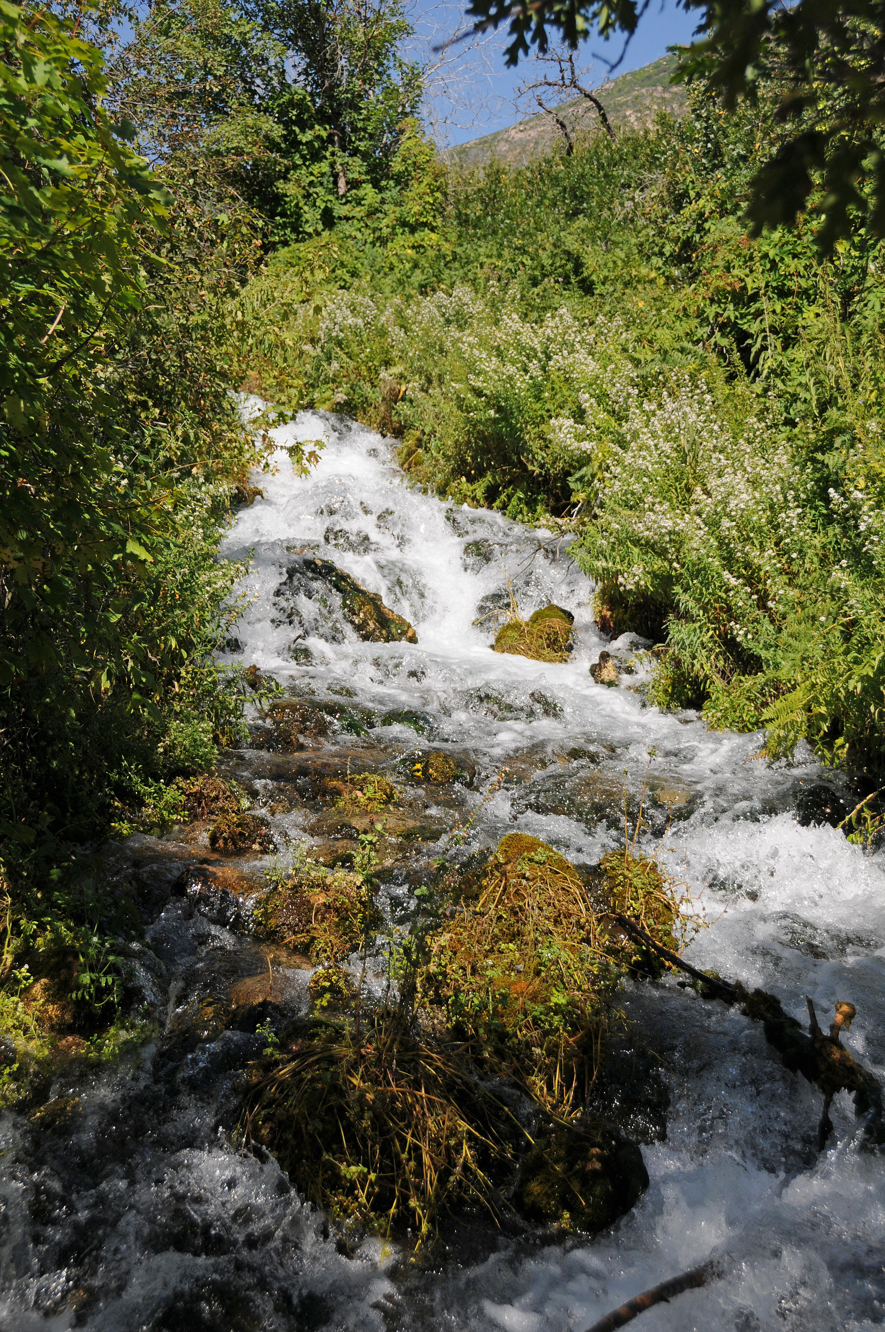 Cascade Springs Area