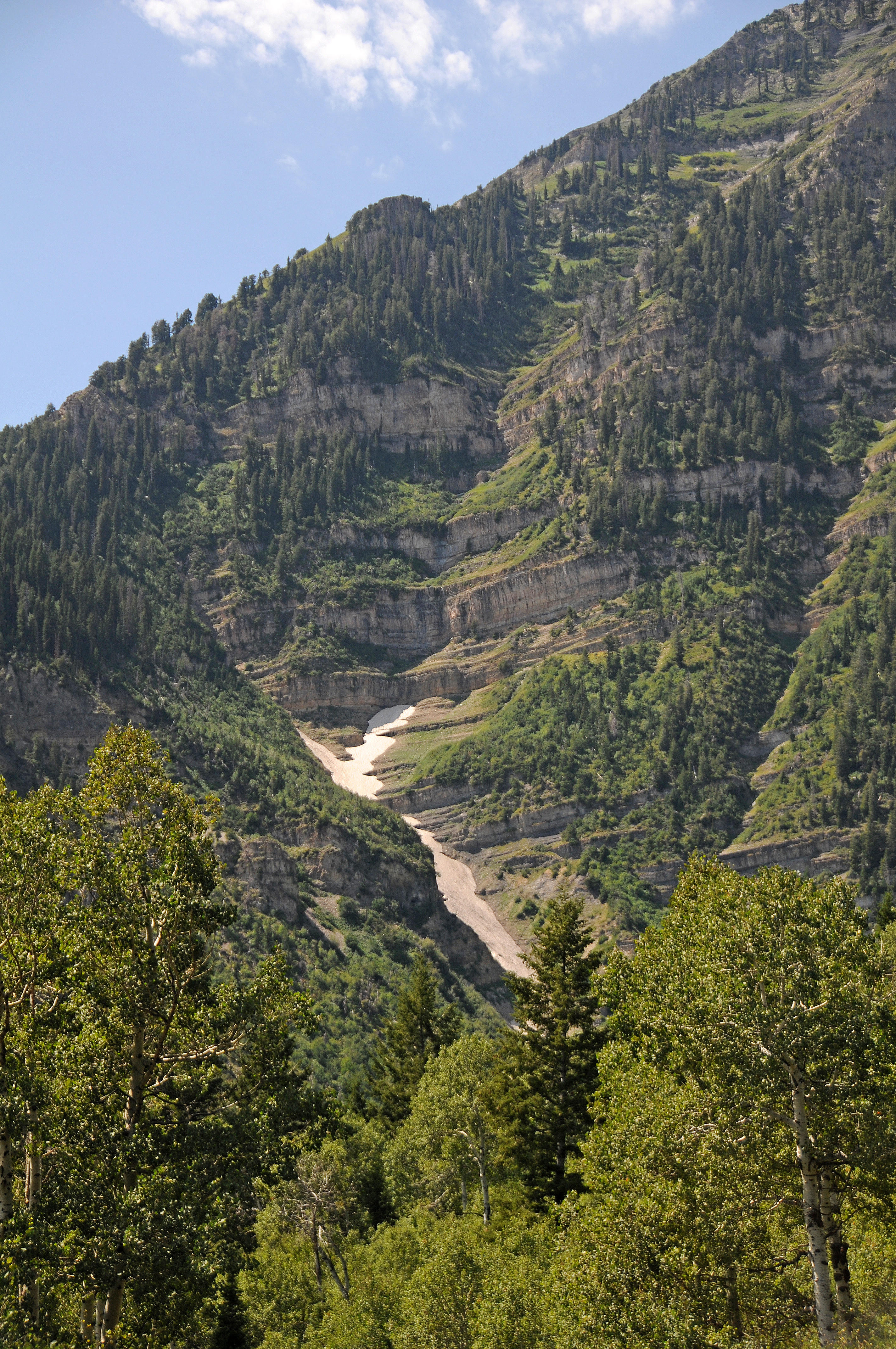 DSC_3866.JPG