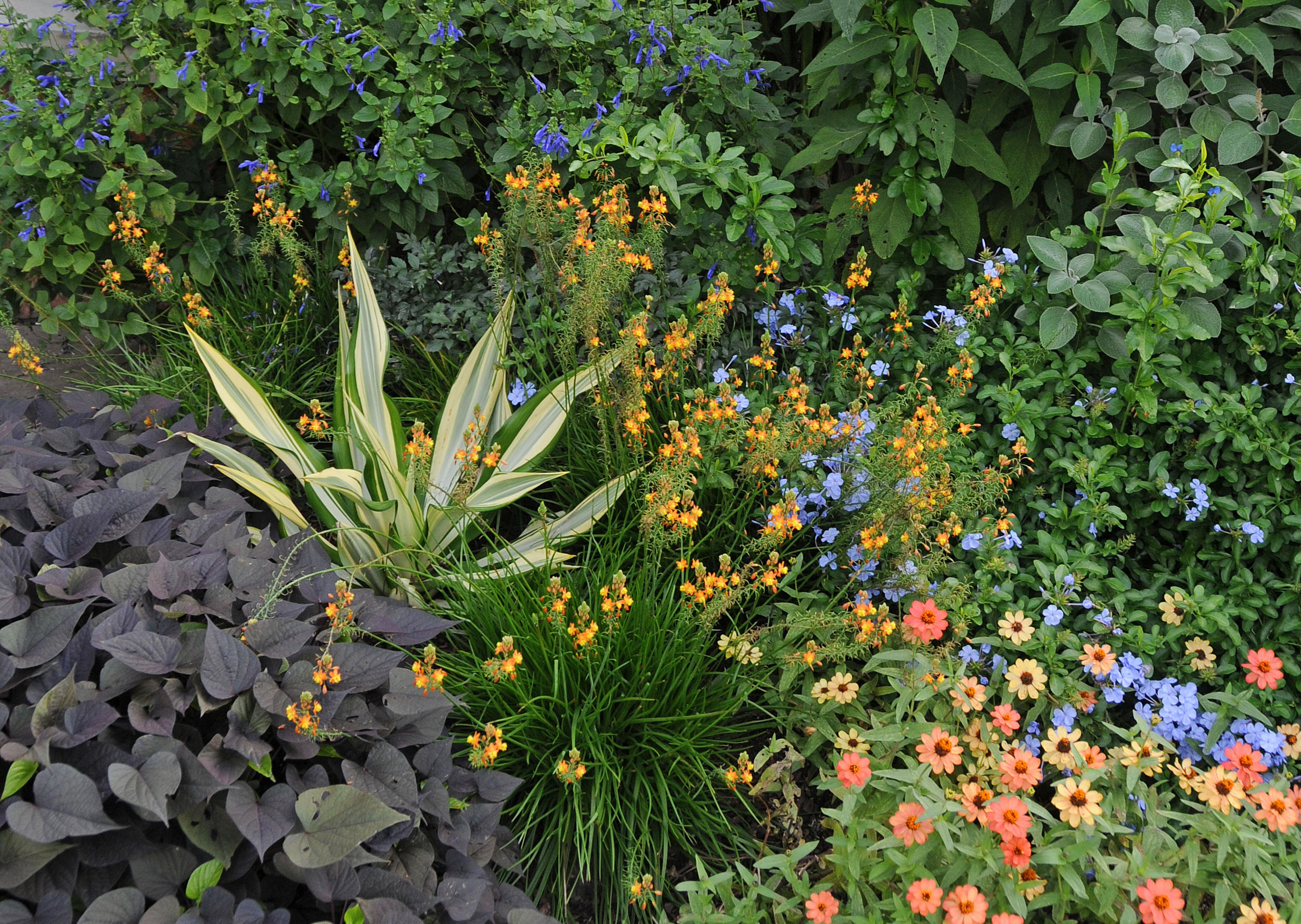 French Conservatory Garden