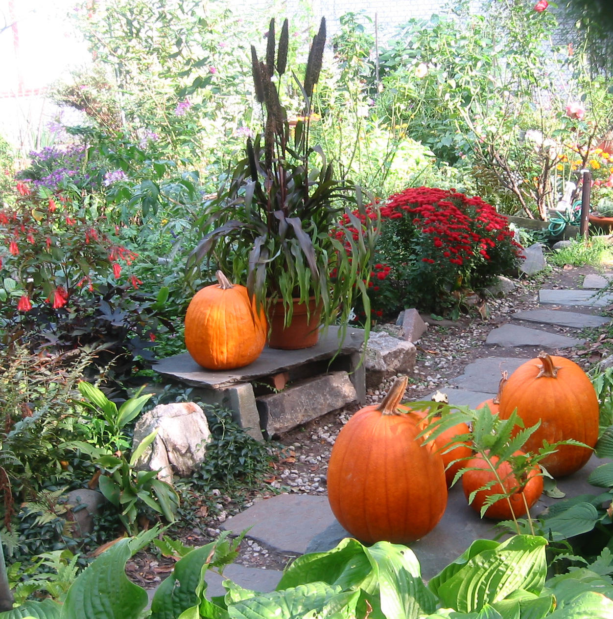Fall Harvest