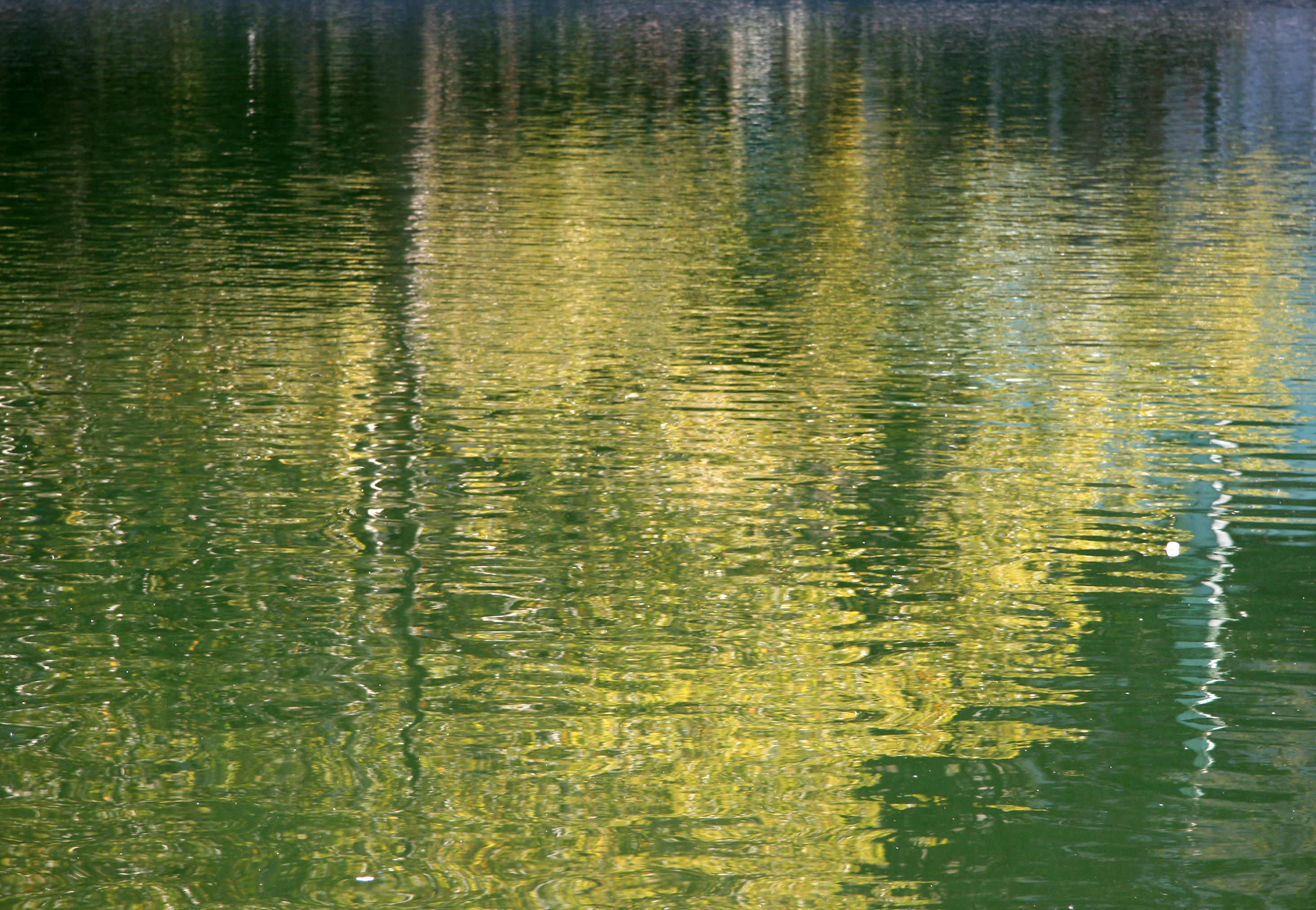 Conservatory Pond  Reflections