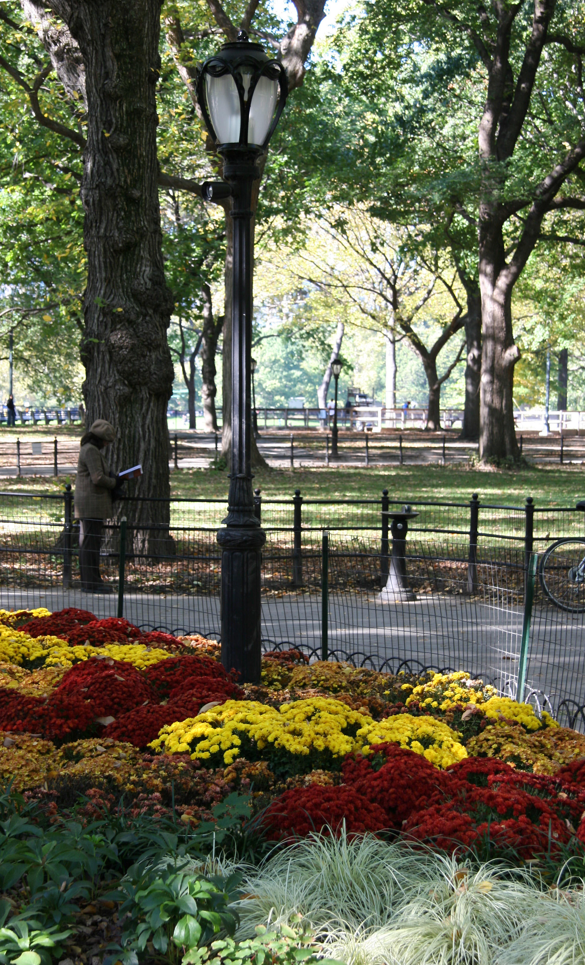 Chrysanthemum Garden at the Foot of the Mall
