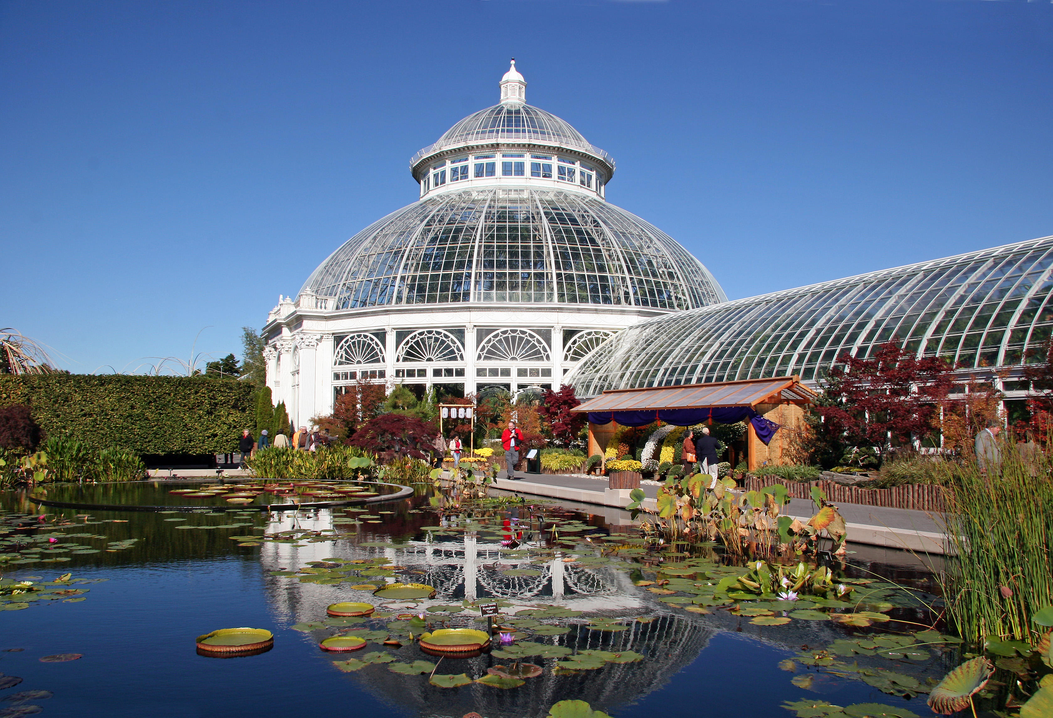 Conservatory, Lily Pond & a Chrysanthemum Show Display