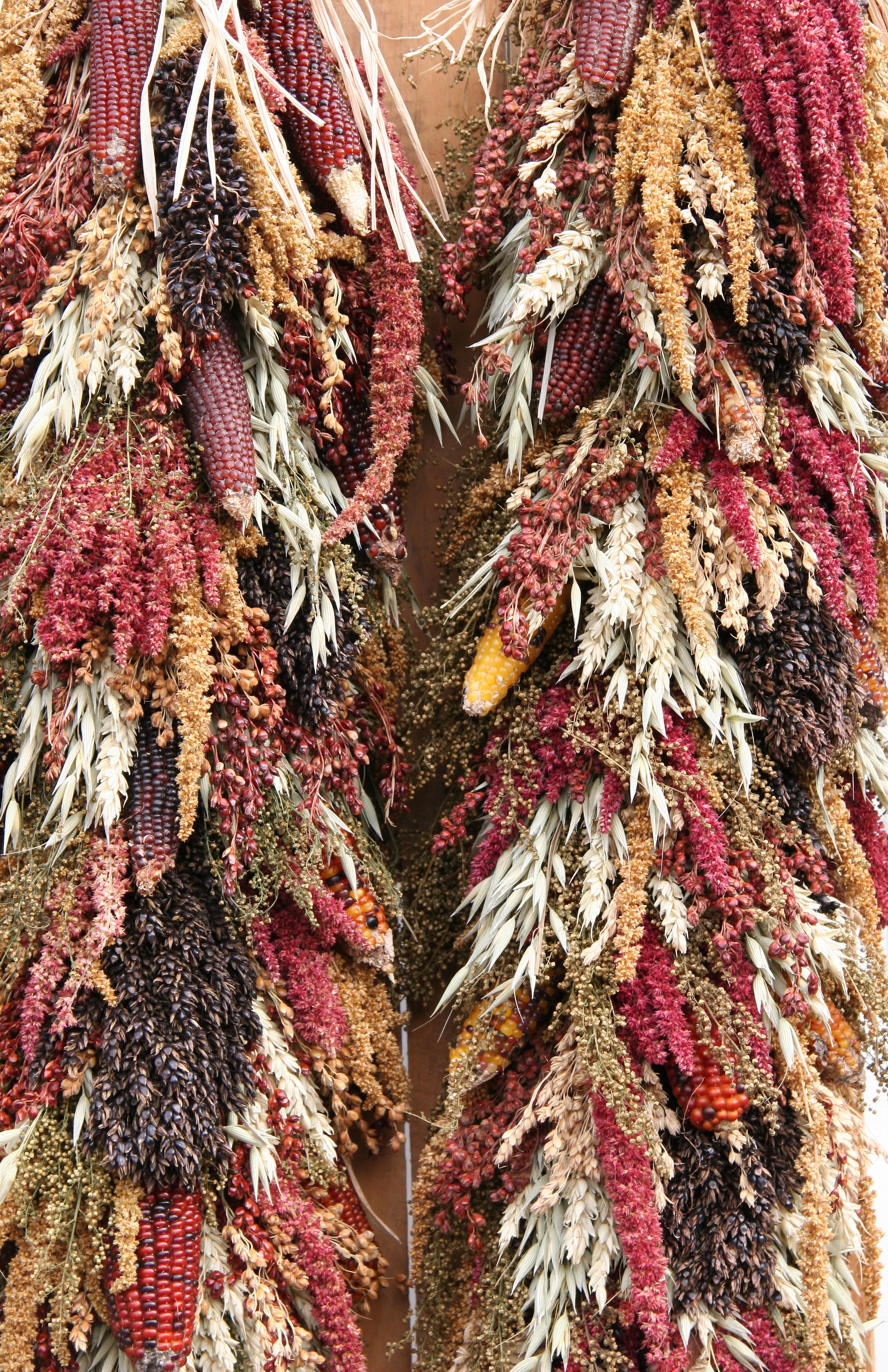 Corn & Wheat Harvest Arrangement - Farmers Market