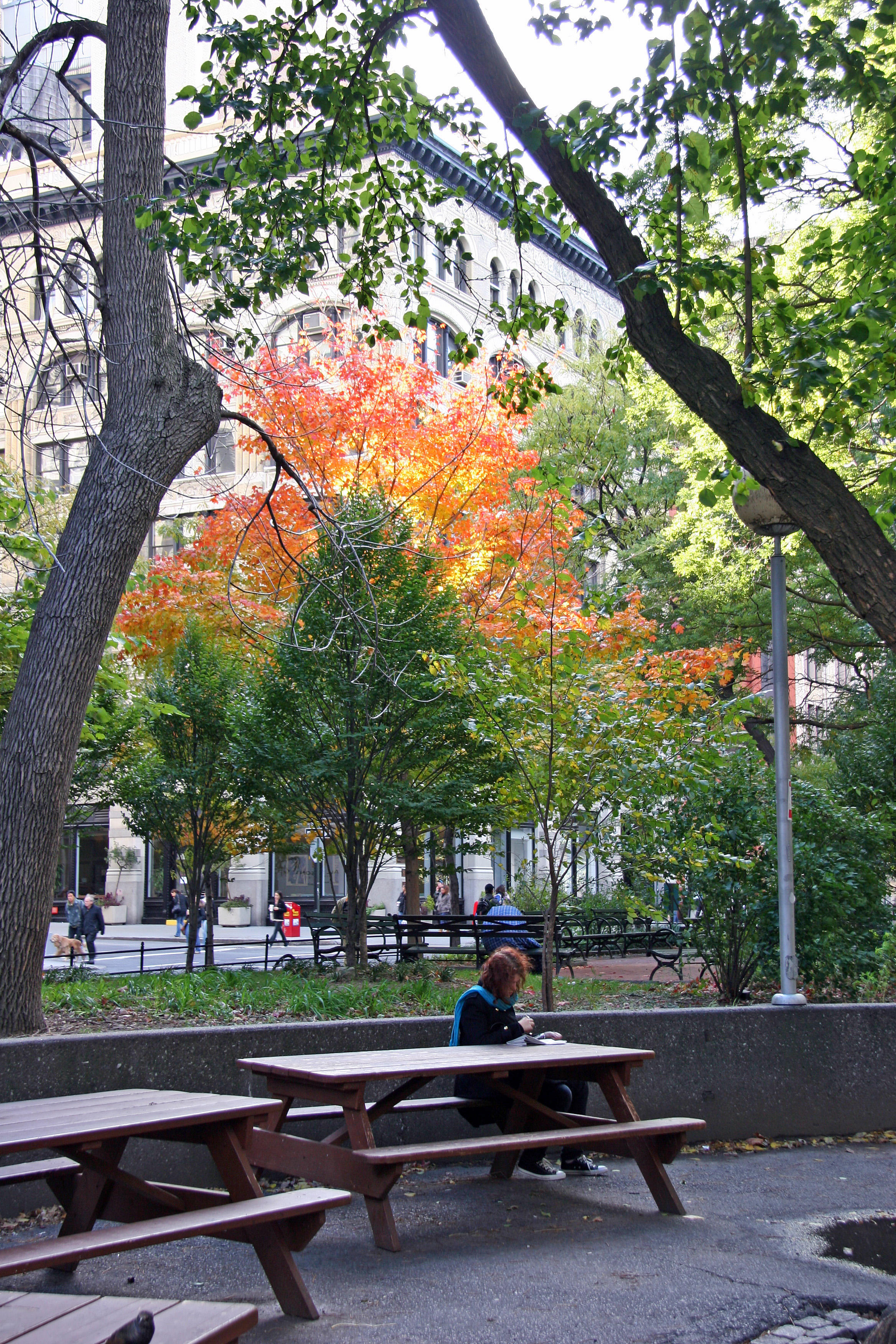 Park View