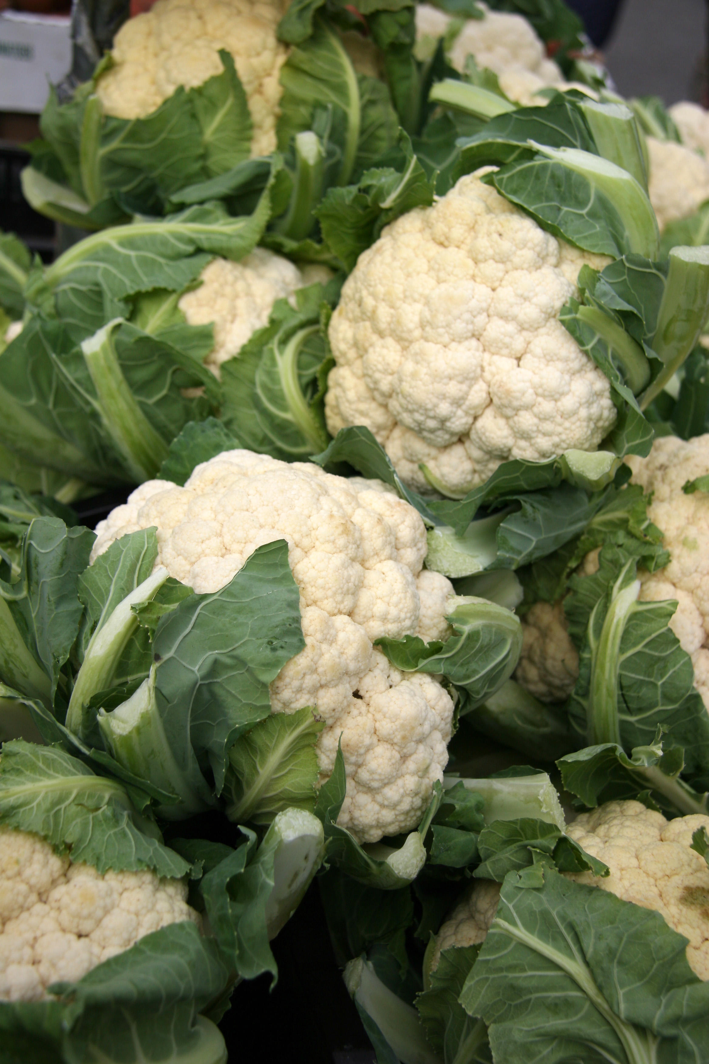 Farmers Market - White Cauliflower