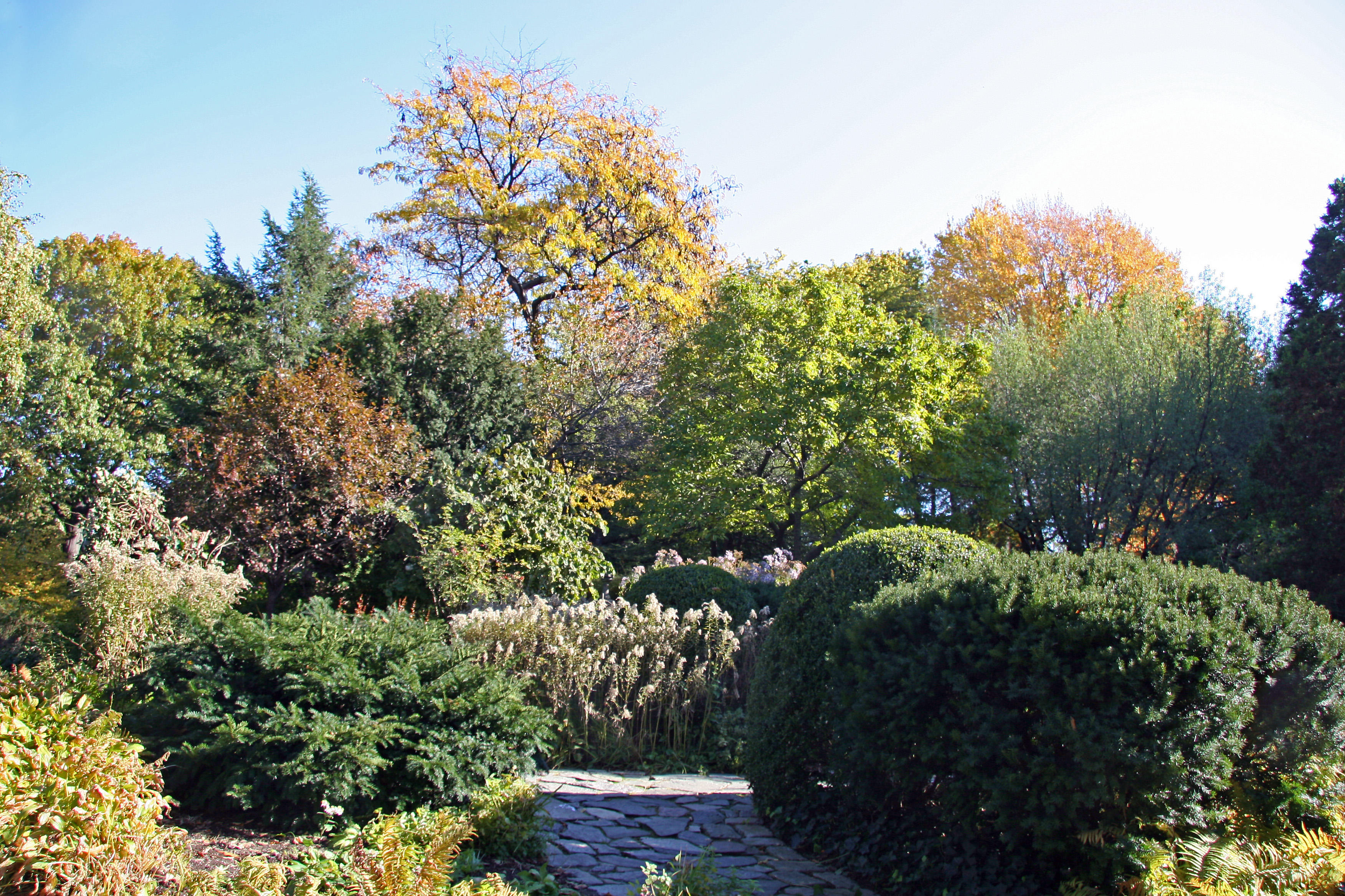 Shakespeare Garden Area