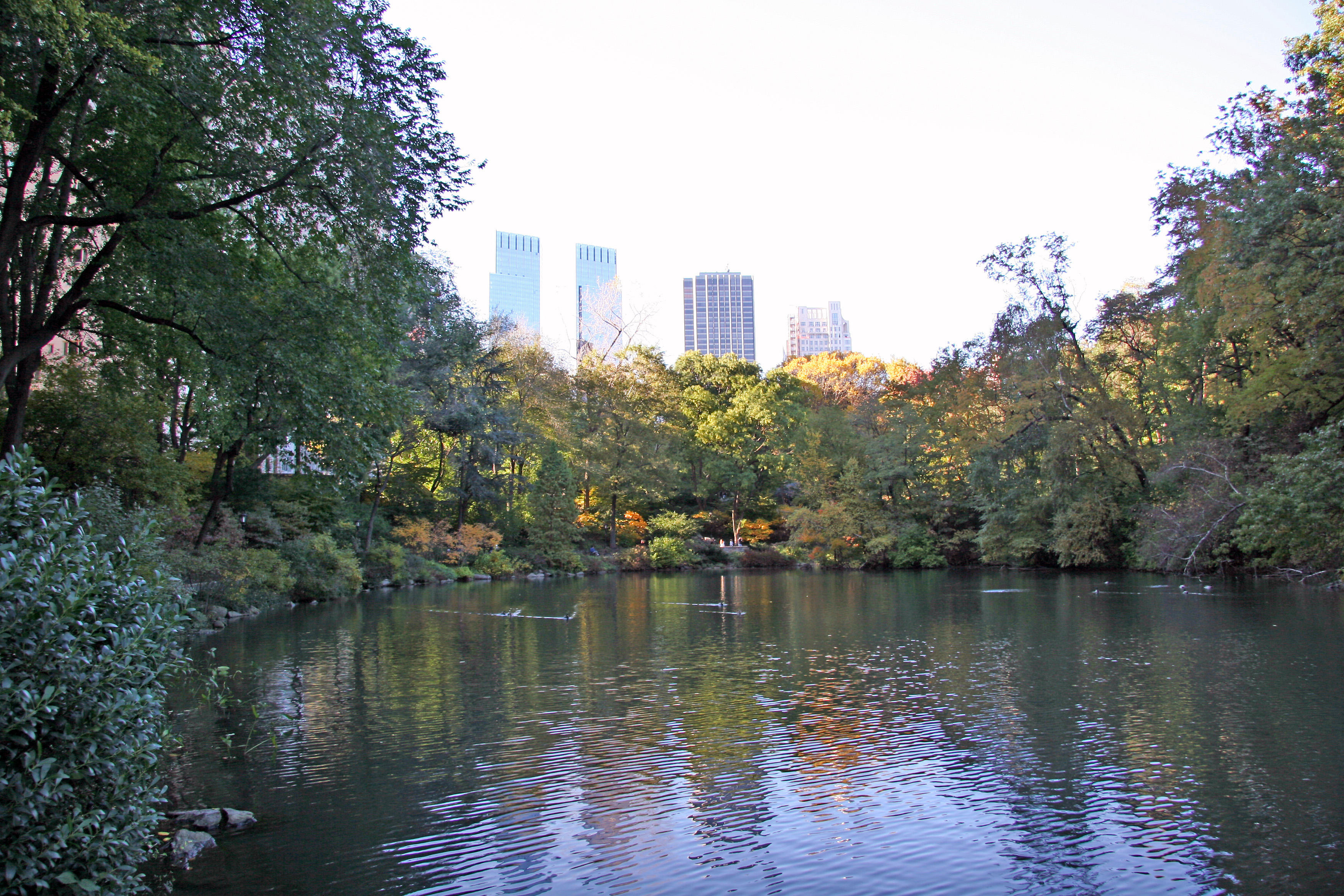 Pond View with CPW Skyline