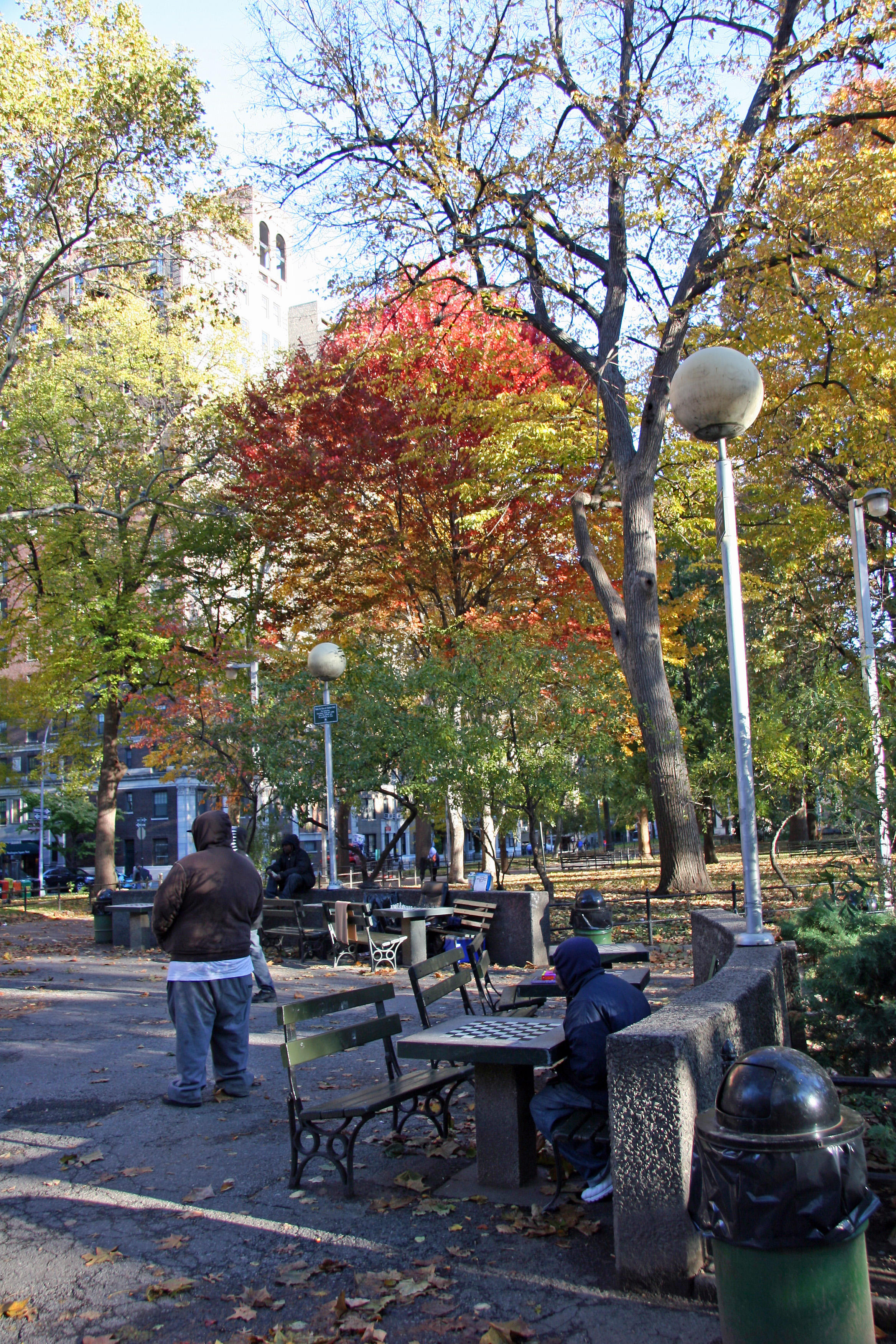 Foliage at Chess Corner