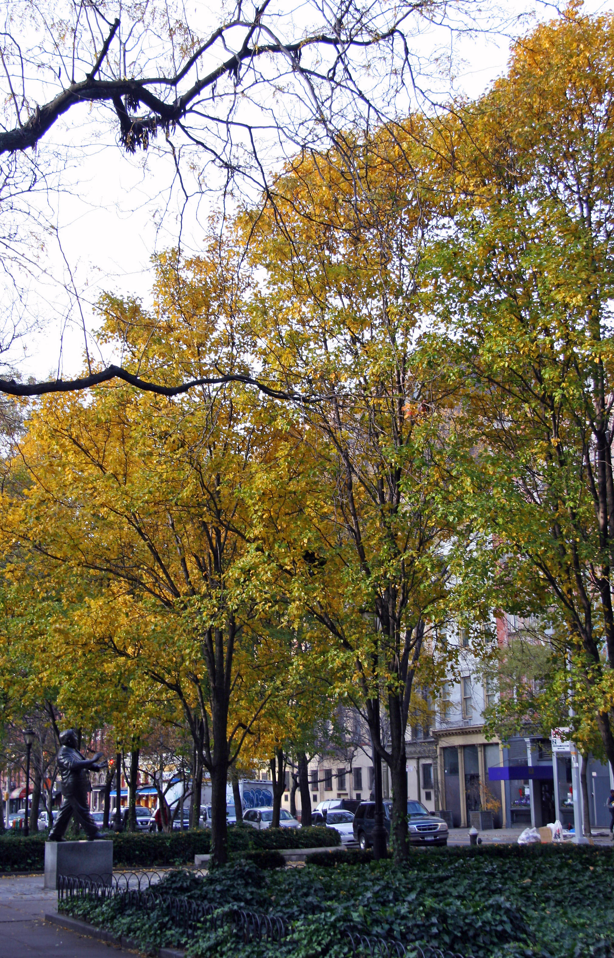 Pear Trees & Mayor LaGuardia Statue