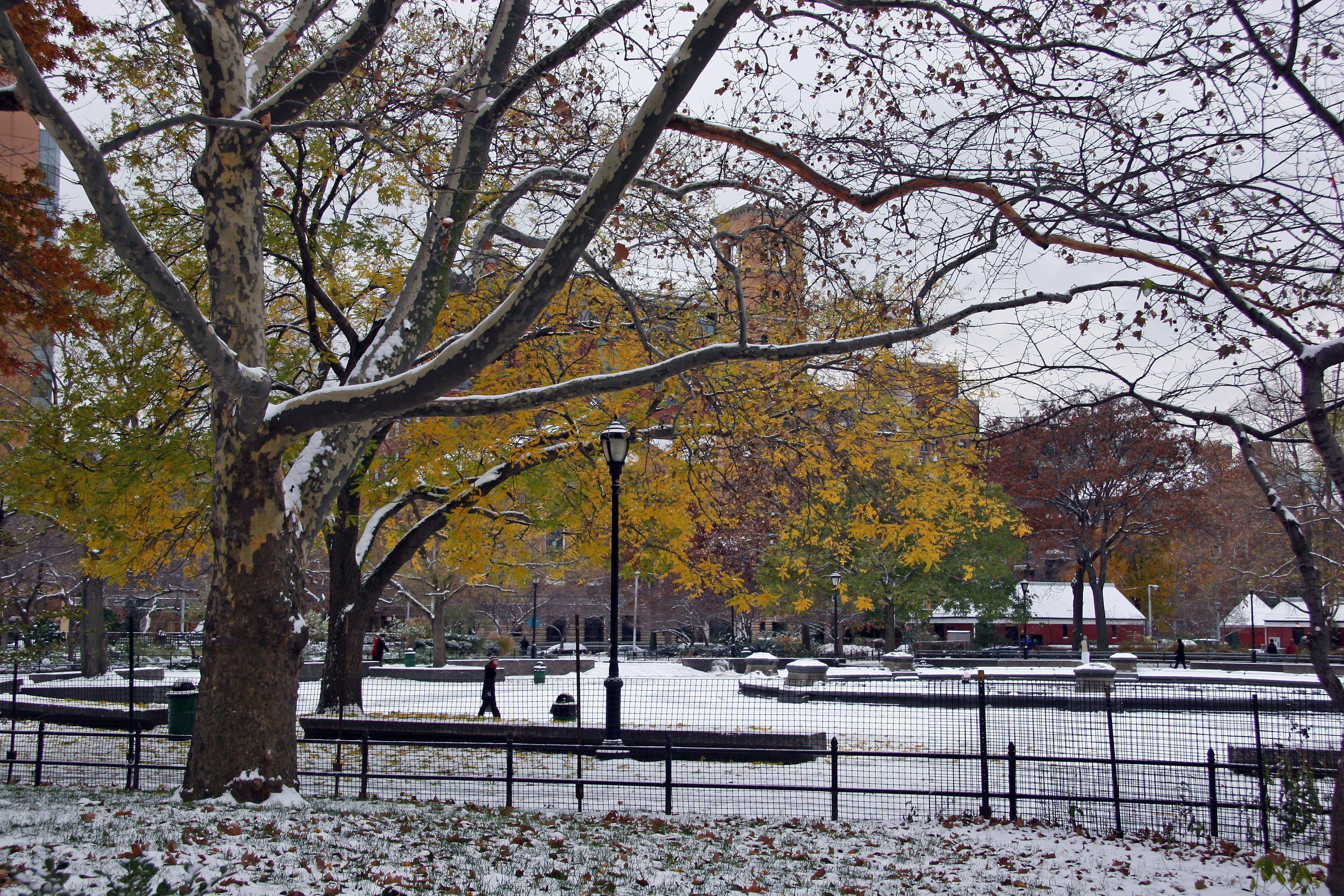 Southwest Park View from the Childrens Playground