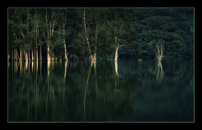 Jubilee Reservoir