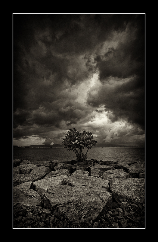 Caribbean Coast, Tung Chung