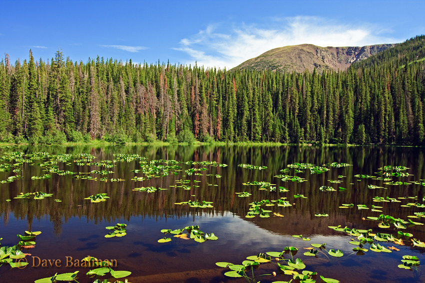 Surprise Lake above Green Mountain Resevoir