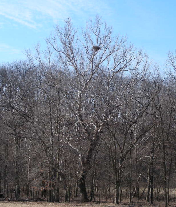 DSCN5769.JPG