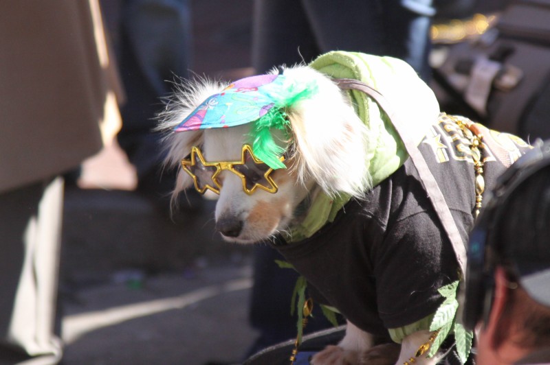 Mardi Gras Day (65).JPG